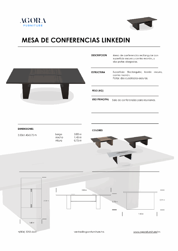 MESA DE CONFERENCIAS LINKEDIN.png