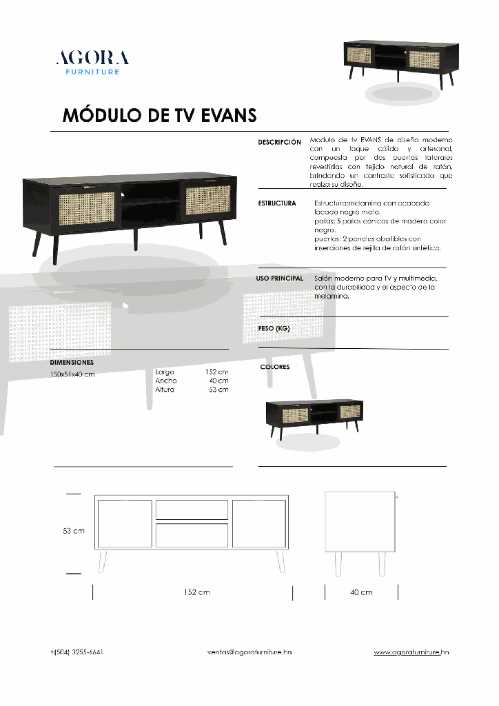 MODULO DE TV EVANS.png