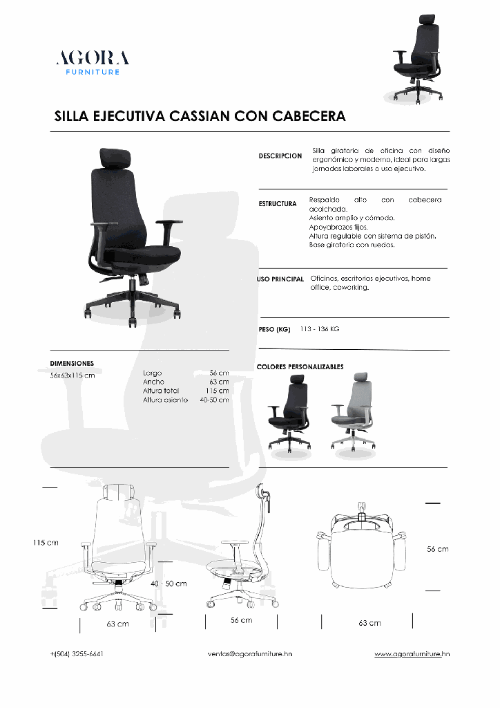 SILLA EJECUTIVA CASSIAN CON CABECERA.png