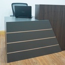 RECEPCIÓN HF23CT (3).jpg