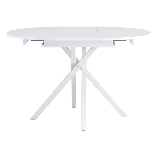 [DT-RT] MESA CAMERON EXPLANDIBLE